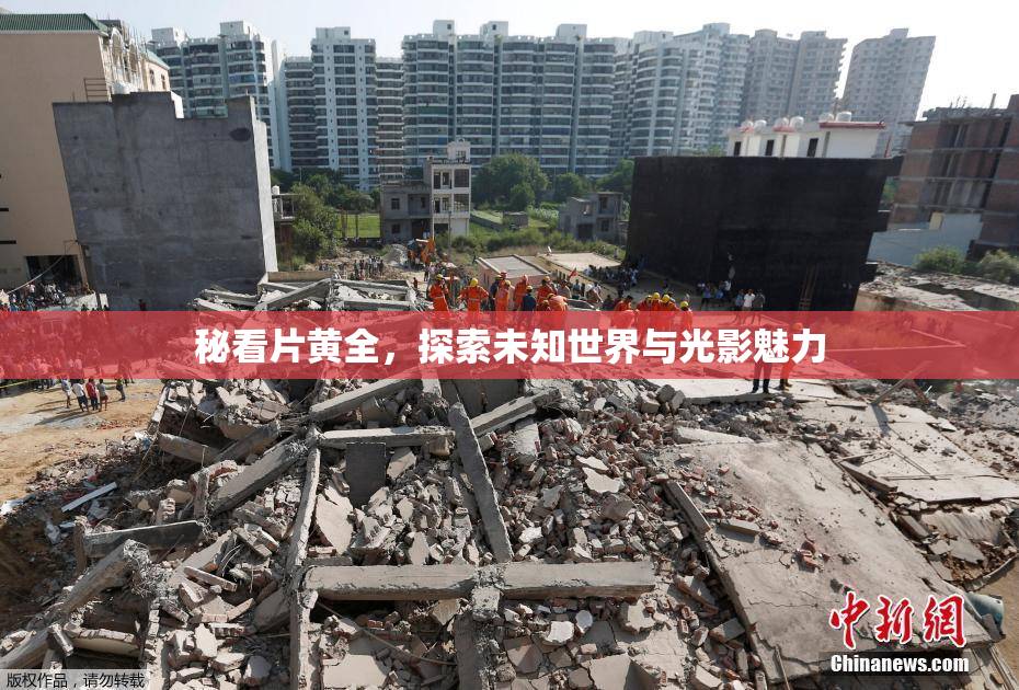 秘看片黄全，探索未知世界与光影魅力