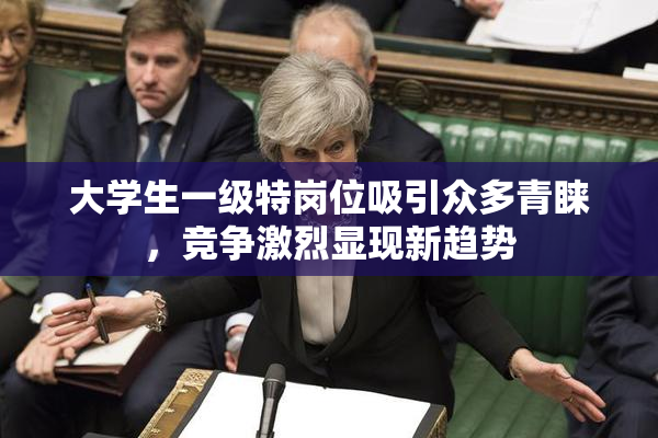 大学生一级特岗位吸引众多青睐，竞争激烈显现新趋势