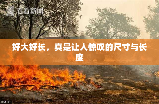好大好长，真是让人惊叹的尺寸与长度
