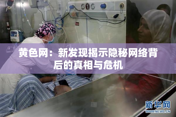 黄色网：新发现揭示隐秘网络背后的真相与危机