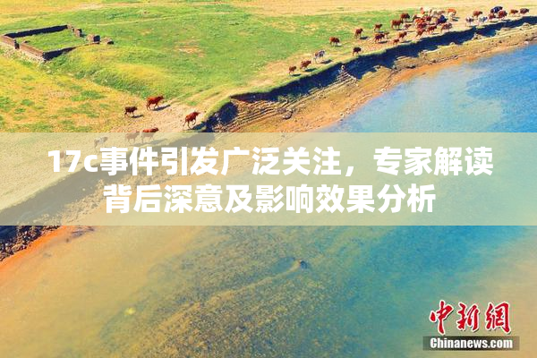 17c事件引发广泛关注，专家解读背后深意及影响效果分析