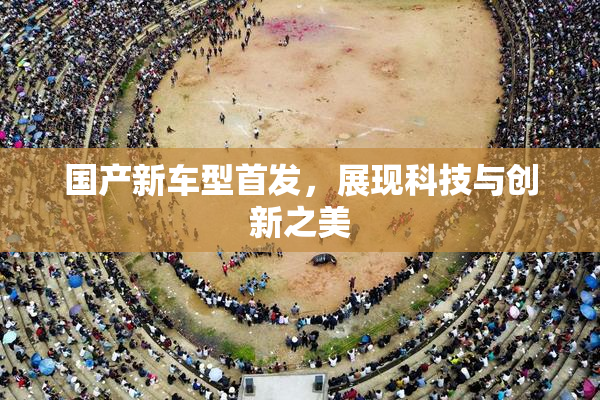国产新车型首发，展现科技与创新之美