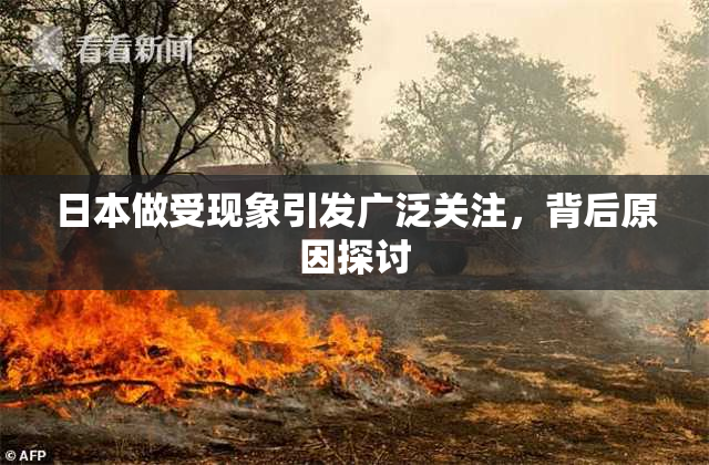 日本做受现象引发广泛关注，背后原因探讨