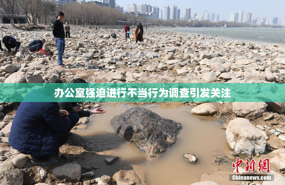 办公室强迫进行不当行为调查引发关注