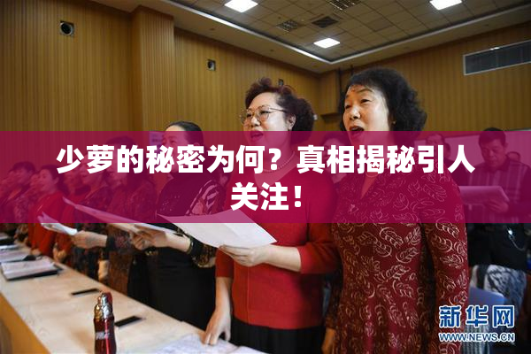 少萝的秘密为何？真相揭秘引人关注！