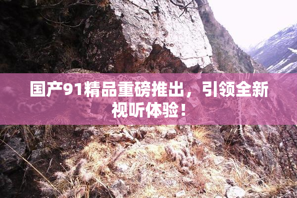 国产91精品重磅推出，引领全新视听体验！