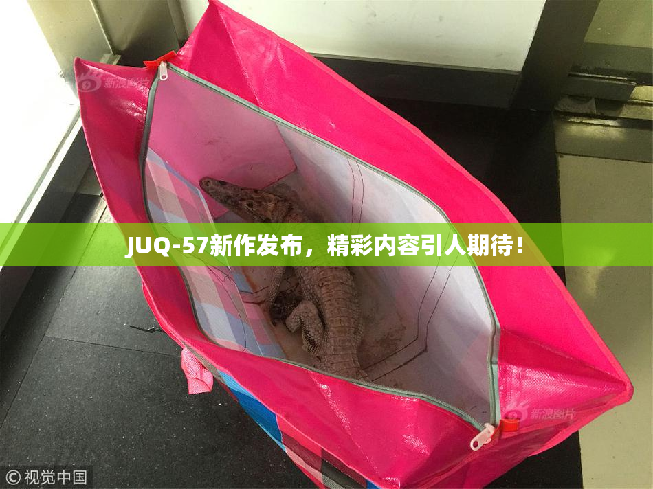 JUQ-57新作发布，精彩内容引人期待！