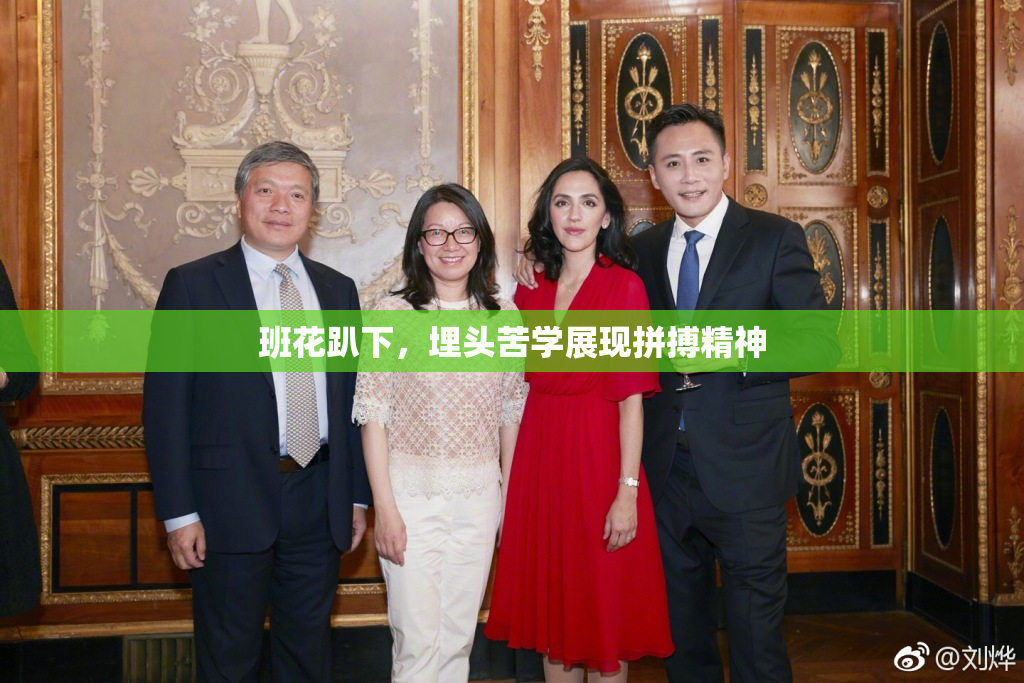 班花趴下，埋头苦学展现拼搏精神