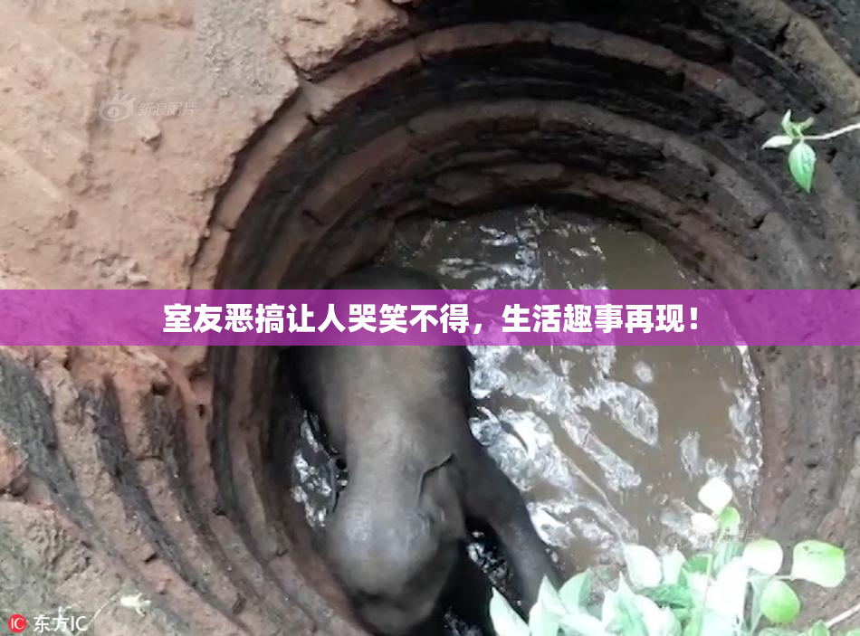 室友恶搞让人哭笑不得，生活趣事再现！