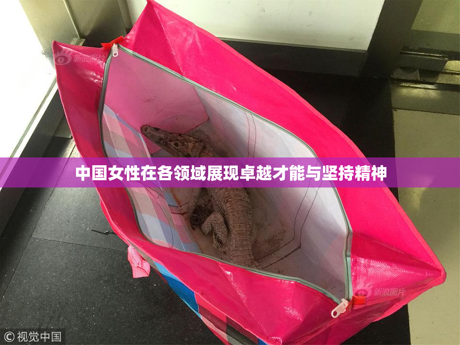 中国女性在各领域展现卓越才能与坚持精神