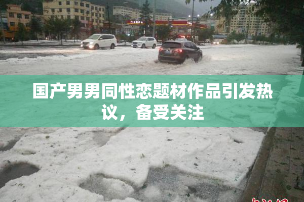 国产男男同性恋题材作品引发热议，备受关注