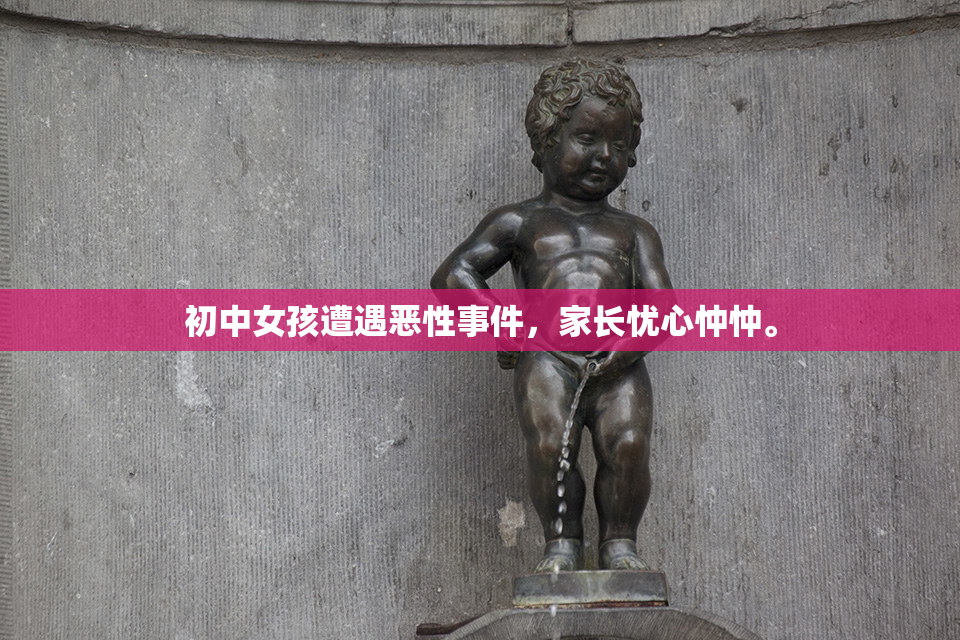 初中女孩遭遇恶性事件，家长忧心忡忡。