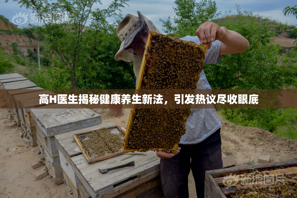 高H医生揭秘健康养生新法，引发热议尽收眼底