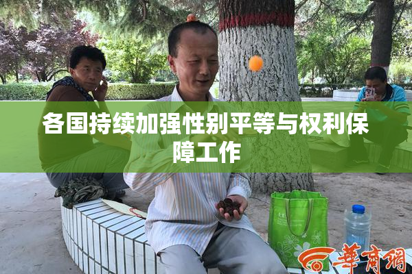 各国持续加强性别平等与权利保障工作