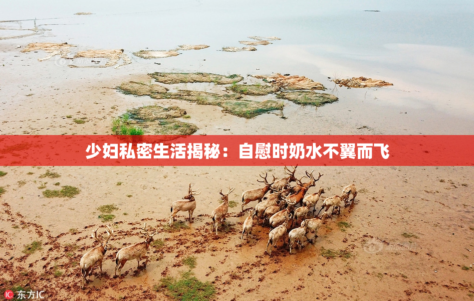 少妇私密生活揭秘：自慰时奶水不翼而飞