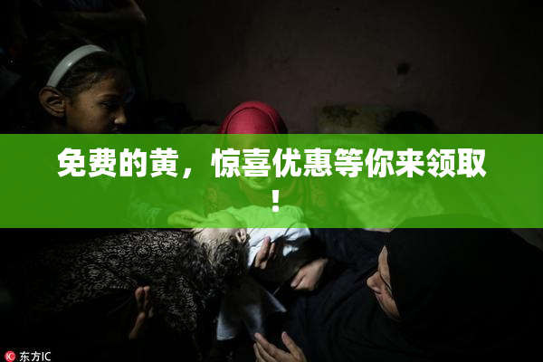 免费的黄，惊喜优惠等你来领取！