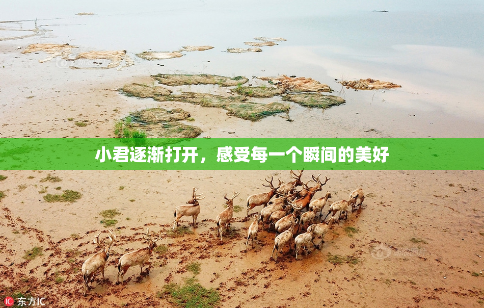 小君逐渐打开，感受每一个瞬间的美好