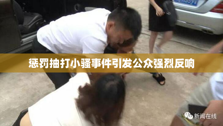 惩罚抽打小骚事件引发公众强烈反响