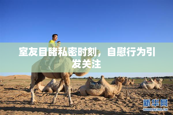 室友目睹私密时刻，自慰行为引发关注
