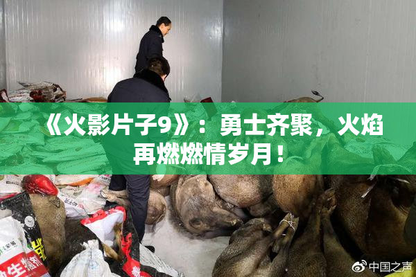 《火影片子9》：勇士齐聚，火焰再燃燃情岁月！