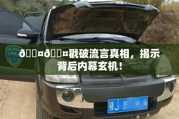 🐤🐤戳破流言真相，揭示背后内幕玄机！