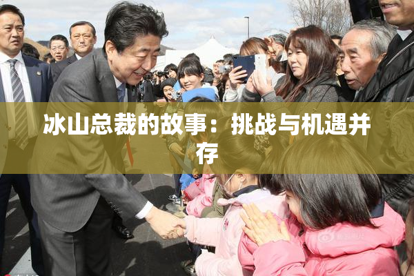 冰山总裁的故事：挑战与机遇并存