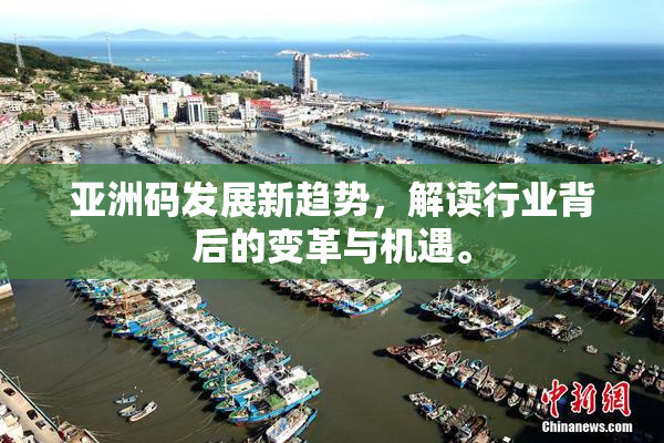 亚洲码发展新趋势，解读行业背后的变革与机遇。