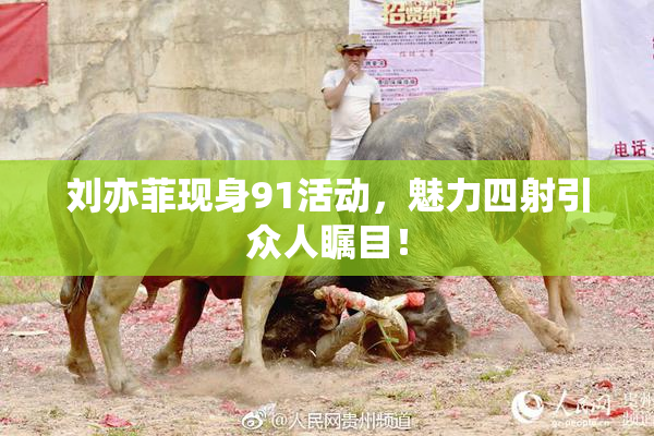刘亦菲现身91活动，魅力四射引众人瞩目！