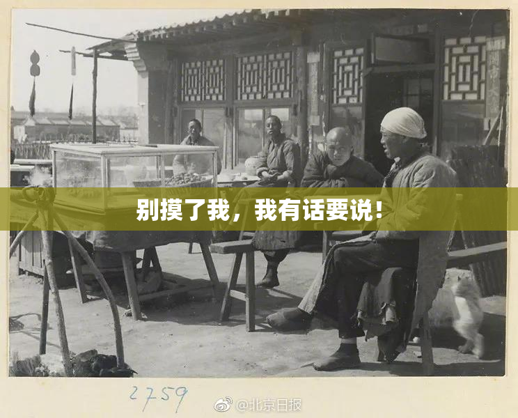 别摸了我，我有话要说！
