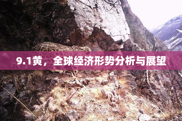 9.1黄，全球经济形势分析与展望