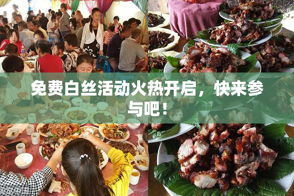 免费白丝活动火热开启，快来参与吧！
