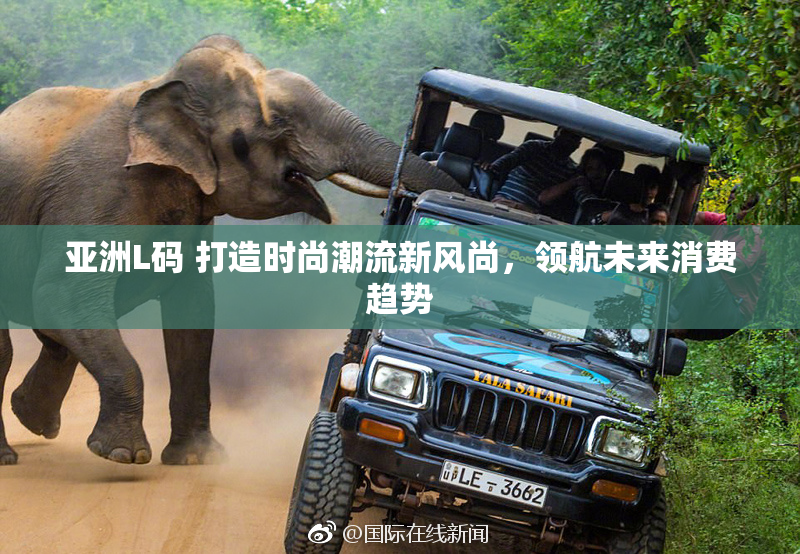 亚洲L码 打造时尚潮流新风尚，领航未来消费趋势