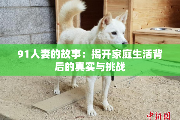 91人妻的故事：揭开家庭生活背后的真实与挑战