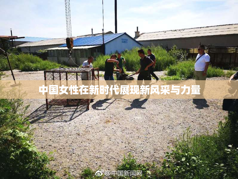 中国女性在新时代展现新风采与力量