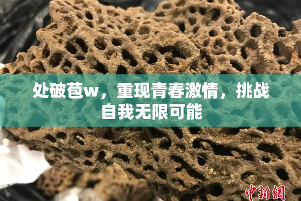 处破苞w，重现青春激情，挑战自我无限可能