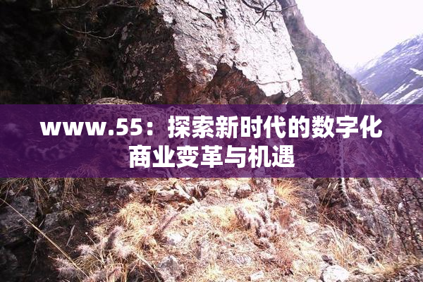 www.55：探索新时代的数字化商业变革与机遇