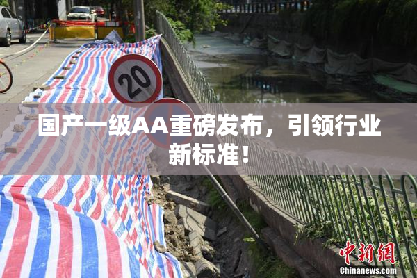 国产一级AA重磅发布，引领行业新标准！