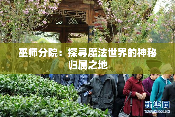 巫师分院：探寻魔法世界的神秘归属之地