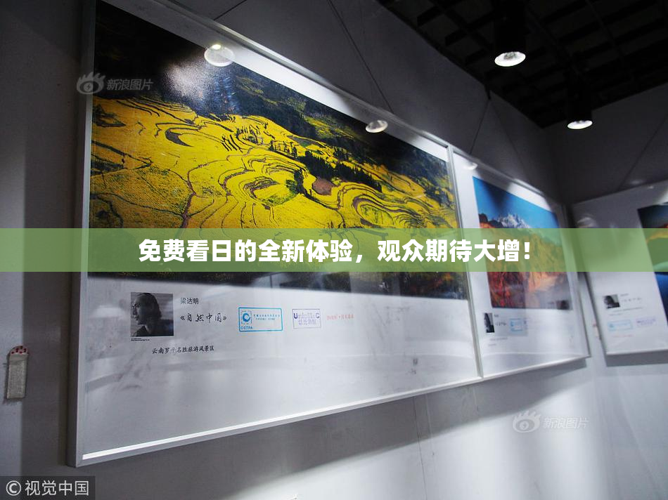 免费看日的全新体验，观众期待大增！