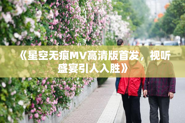 《星空无痕MV高清版首发，视听盛宴引人入胜》