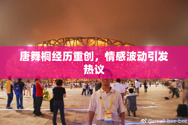 唐舞桐经历重创，情感波动引发热议