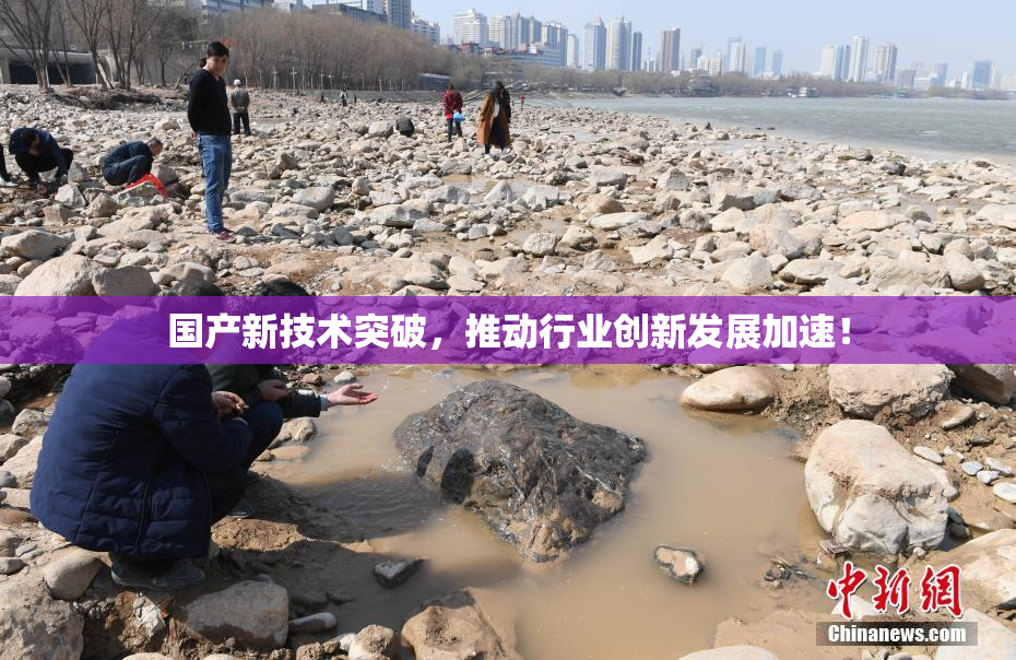 国产新技术突破，推动行业创新发展加速！