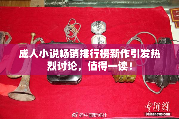 成人小说畅销排行榜新作引发热烈讨论，值得一读！