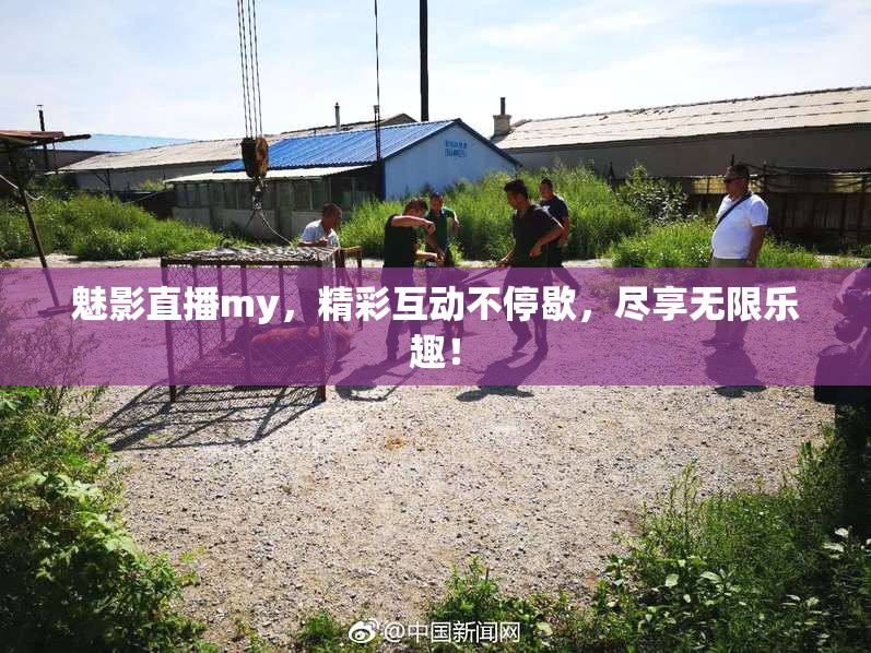 魅影直播my，精彩互动不停歇，尽享无限乐趣！