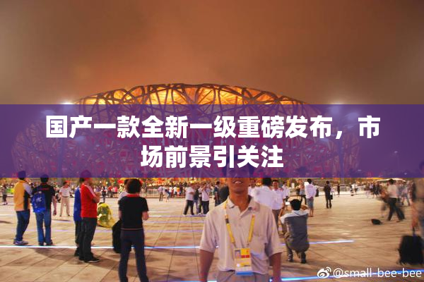 国产一款全新一级重磅发布，市场前景引关注