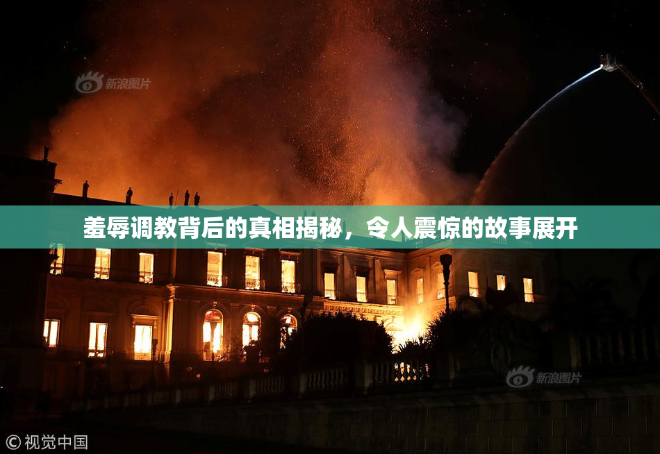 羞辱调教背后的真相揭秘，令人震惊的故事展开