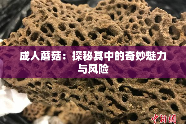 成人蘑菇：探秘其中的奇妙魅力与风险