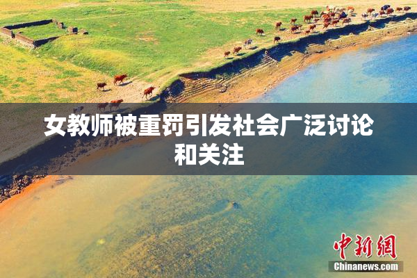 女教师被重罚引发社会广泛讨论和关注