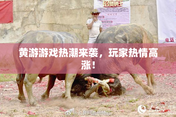 黄游游戏热潮来袭，玩家热情高涨！