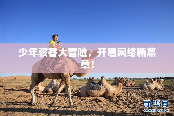 少年骇客大冒险，开启网络新篇章！